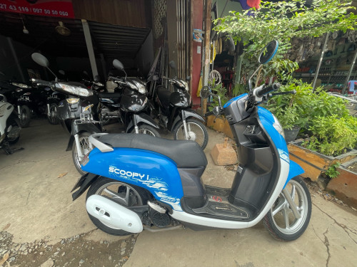 ខ្ចីណាស់មានពន្ធត្រឹមត្រូវ