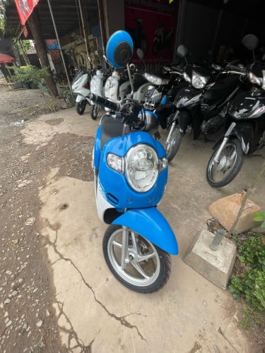 ខ្ចីណាស់មានពន្ធត្រឹមត្រូវ