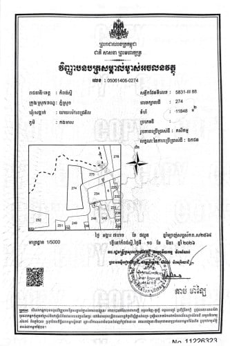 ដីលក់បន្ទាន់ នៅភូមិកងមាស ឃុំយាយម៉ៅពេជ្រនិល ខេត្តកំពង់ស្ពឺ
