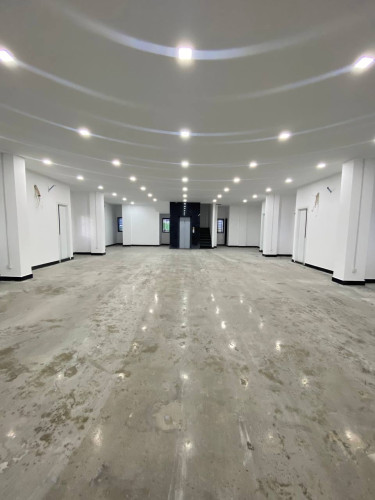 出租公寓楼, 32间卧室, 大厅面积550平方米