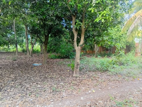 ដីលក់ នៅជិតផ្សារចុងព្រែក Land for Sale near Chong Preak Market