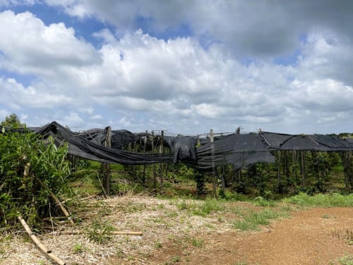 🏠 អចលនទ្រព្យ លក់ឡាយឡុង (Auctioned Properties) 🏷