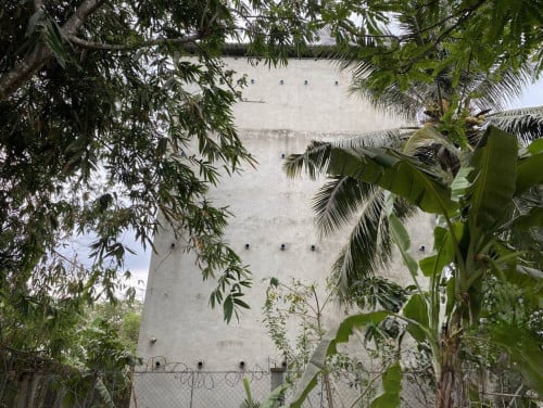 🏦Bird Nest House for Available for Urgent Sale at a Special Price (Negotiable).