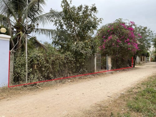 🏦Bird Nest House for Available for Urgent Sale at a Special Price (Negotiable).