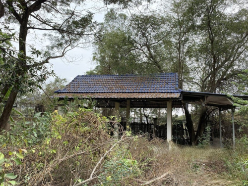 🏦Bird Nest House for Available for Urgent Sale at a Special Price (Negotiable).