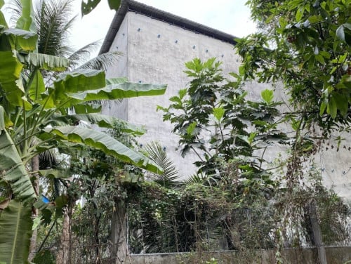 🏦Bird Nest House for Available for Urgent Sale at a Special Price (Negotiable).
