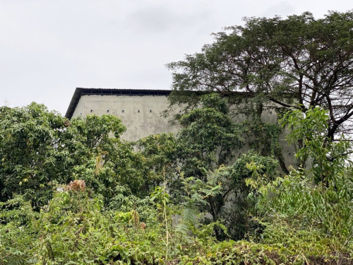 🏦Bird Nest House for Available for Urgent Sale at a Special Price (Negotiable).