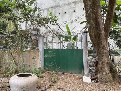 🏦Bird Nest House for Available for Urgent Sale at a Special Price (Negotiable).
