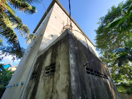 🏦Bird Nest House for Available for Urgent Sale at a Special Price (Negotiable).