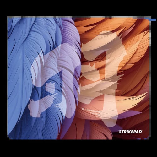 FANTECH Strikepad MST491 (Gaming Mousepad)