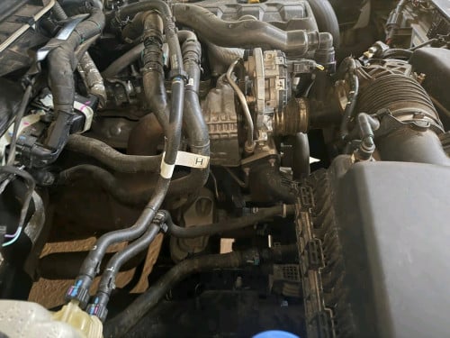 FORD RANGER XL 2025 ស្កុតមួយជុំ