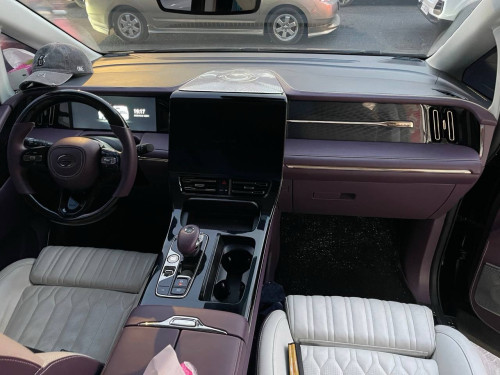 GAC GN8 VIP 2024