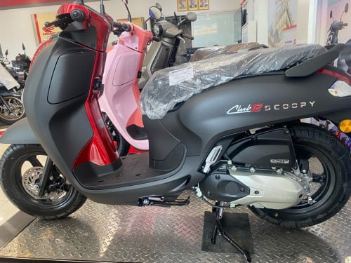 Honda scoopy club គ្រប់ពណ៍តែម្ដងតម្លៃដូចគ្នា