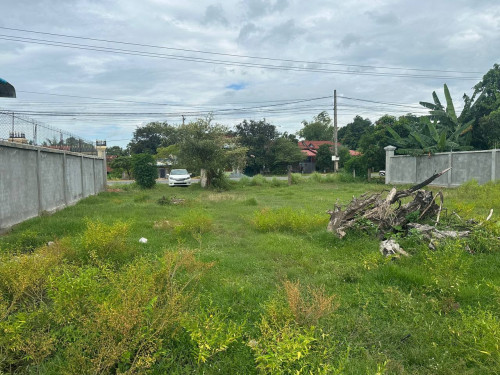 Land for Rental (តម្លៃ ចរចា)
