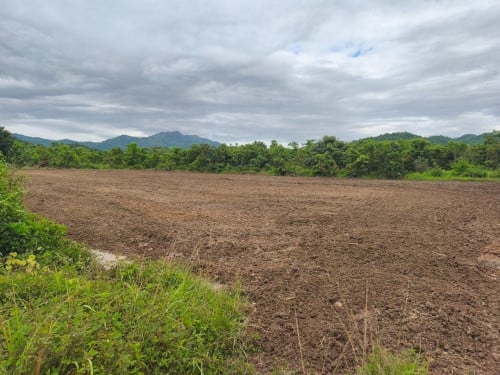 National Road 43 ដីផ្លូវ ៤៣ ជ័យសេនា តាកែន ឈូក កំពត