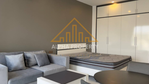 Studio Sihanouk 450$