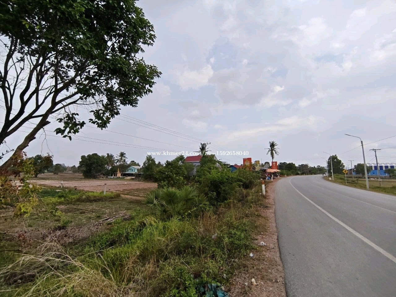 ដីសម្រាប់លក់ (ប្លង់រឹង)