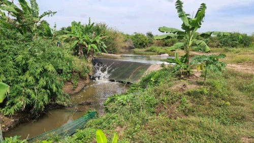 ដីចំការ