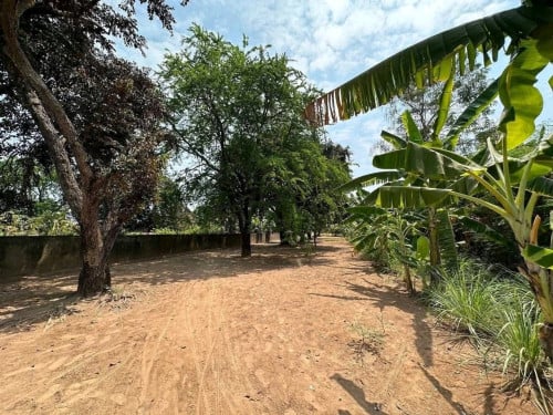 ដីសម្រាប់លក់