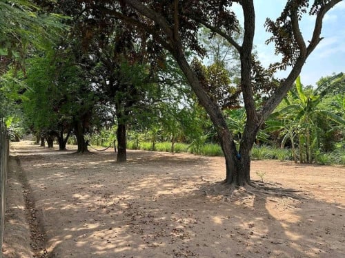 ដីសម្រាប់លក់