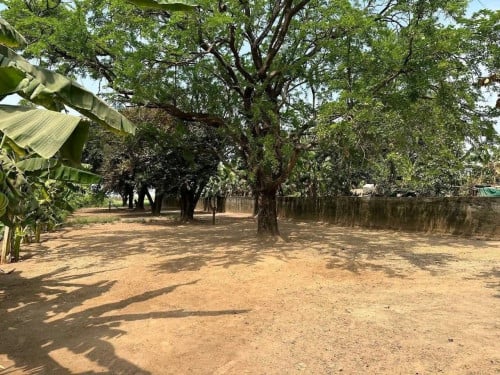 ដីសម្រាប់លក់
