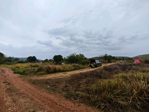 ដីចំការសម្រាប់លក់ (ប្លង់រឹង)