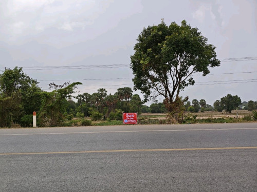 ដីសម្រាប់លក់ (ប្លង់រឹង)