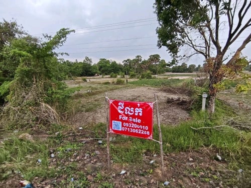 ដីសម្រាប់លក់ (ប្លង់រឹង)