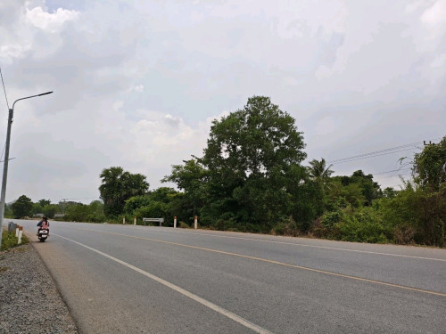 ដីសម្រាប់លក់ (ប្លង់រឹង)