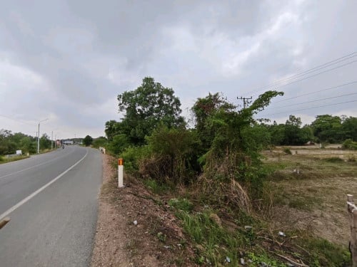 ដីសម្រាប់លក់ (ប្លង់រឹង)