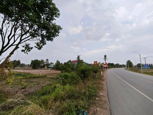 ដីសម្រាប់លក់ (ប្លង់រឹង)