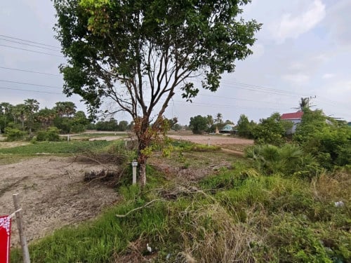 ដីសម្រាប់លក់ (ប្លង់រឹង)