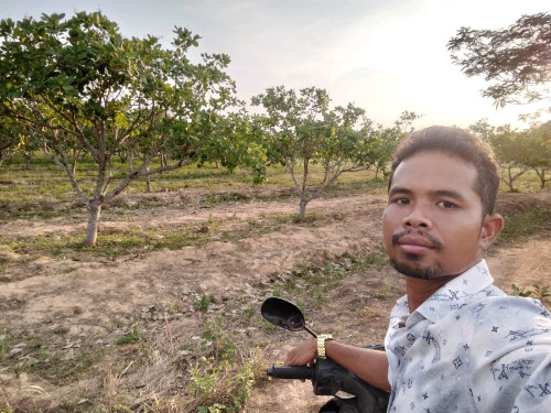 ដីចំការ លក់