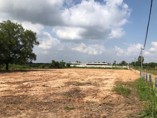 ដីលក់បន្ទាន់ តម្លៃពិសេស​( ក្បែរសាលាក្រុងអរិយក្សត្រ )