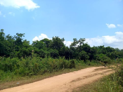 ដីលក់ ក្រុងអរិយក្សត្រ ( ជាប់ដីបុរីប៉េងហ៊ួត )