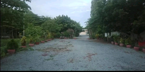 ដីលក់បន្ទាន់