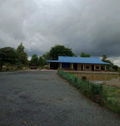 ដីលក់បន្ទាន់