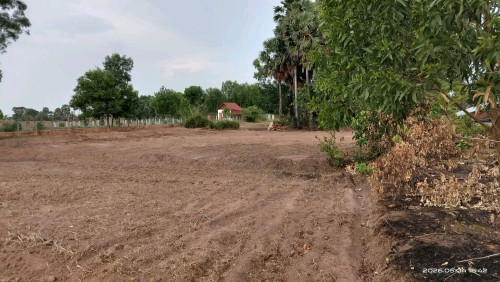 ដីលក់បន្ទាន់