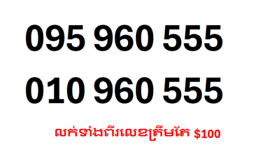 លក់ទាំងពីរលេខត្រឹមតែ  $100 - 095 I 010 960 555
