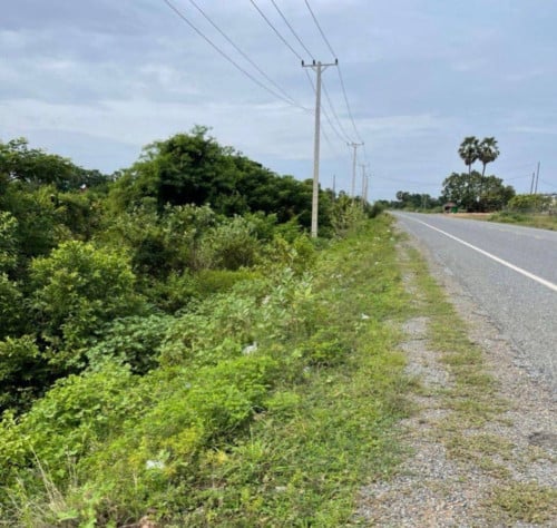 ដីដាក់លក់ជាប់ផ្លូវ261(40m) សំបួរមាស