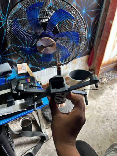 ទ្រូងនៅស្អាត96%ហោះបានធម្មតា