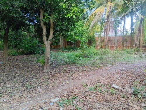 ដីលក់ នៅជិតរោងចក្រថៃង្គឹ ក្បែរសាលារៀនរបោះអង្គាញ់ Land for Sale near Tiger Factory