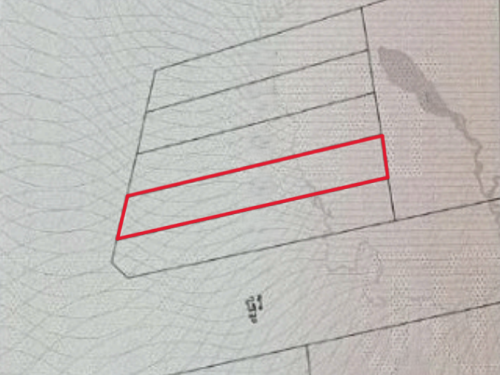 🏦Land Available for Urgent Sale at a Special Price (Negotiable).
