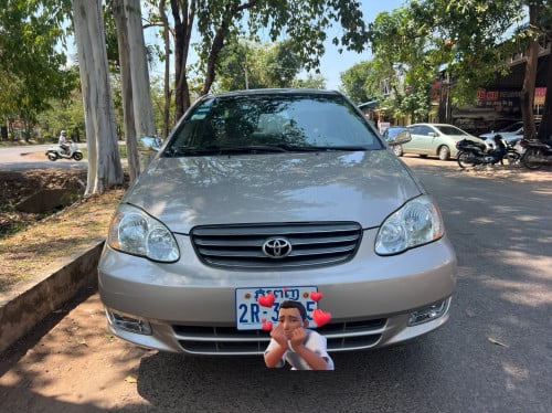 Corrola LE 2003 នៅថ្មីណាស់