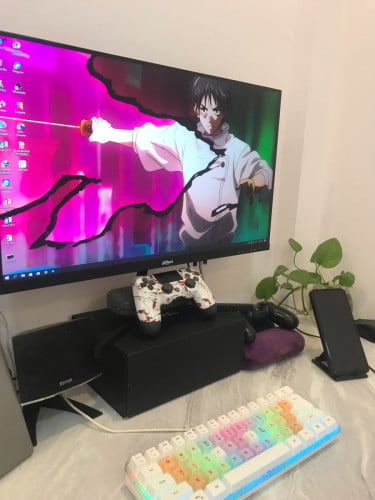 Dahua 24”