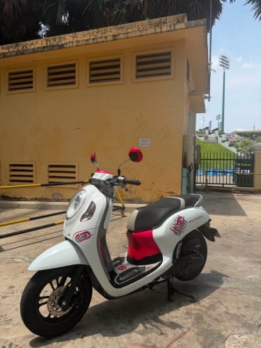 Honda Scoopy
