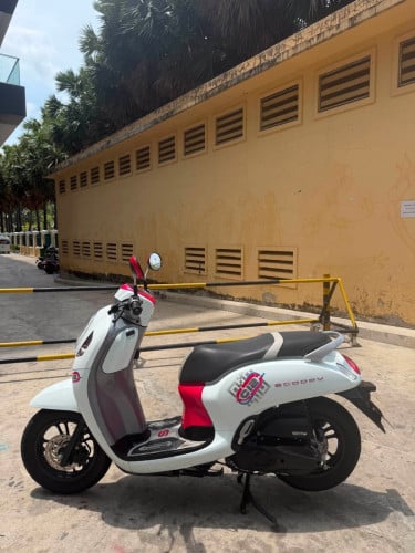 Honda Scoopy