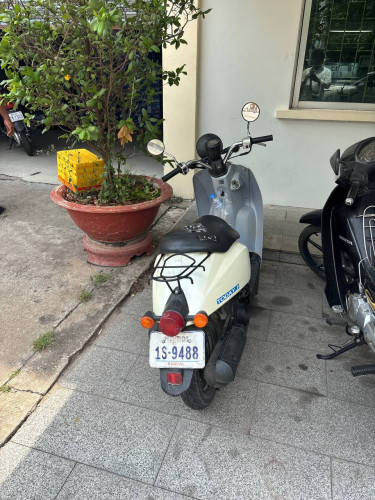 Honda today $240
