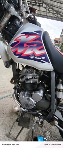 Honda xr 250cc Japan 🇯🇵