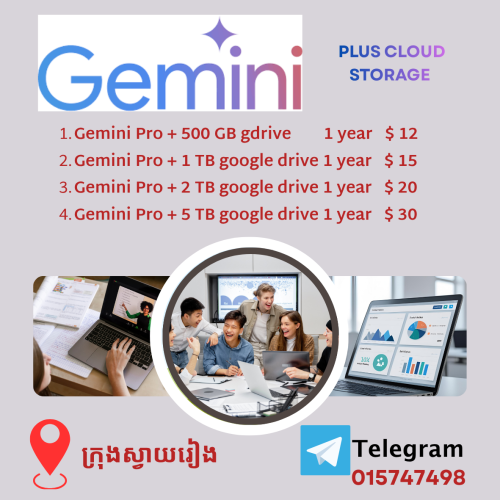 Window 10 11 , Office 2021 2024 , Gemini + Google drive